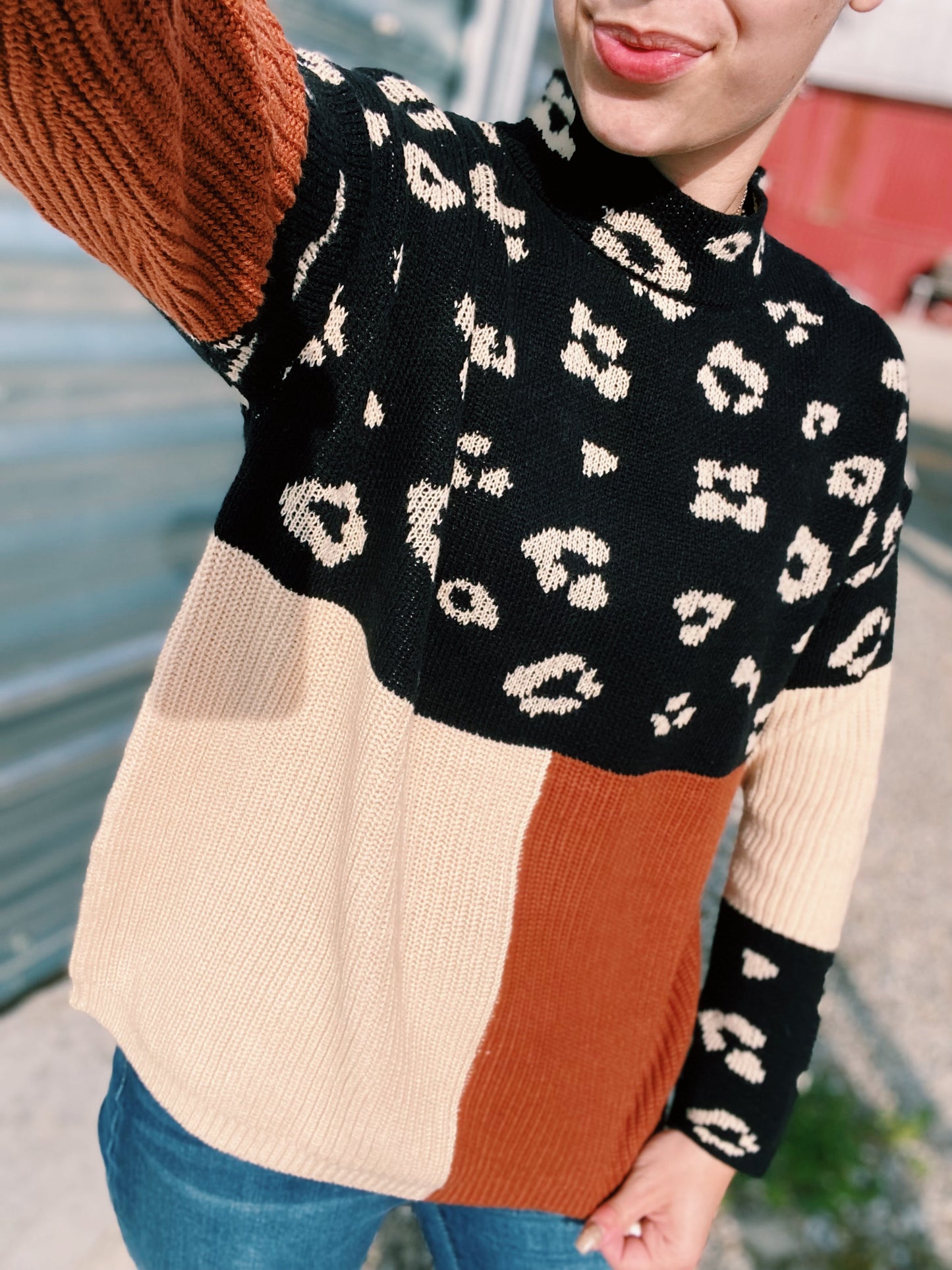 Multi Color Block Cheetah Sweater