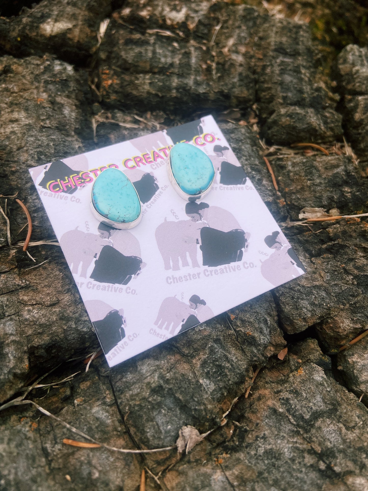 Campitos Turquoise Stud Earrings