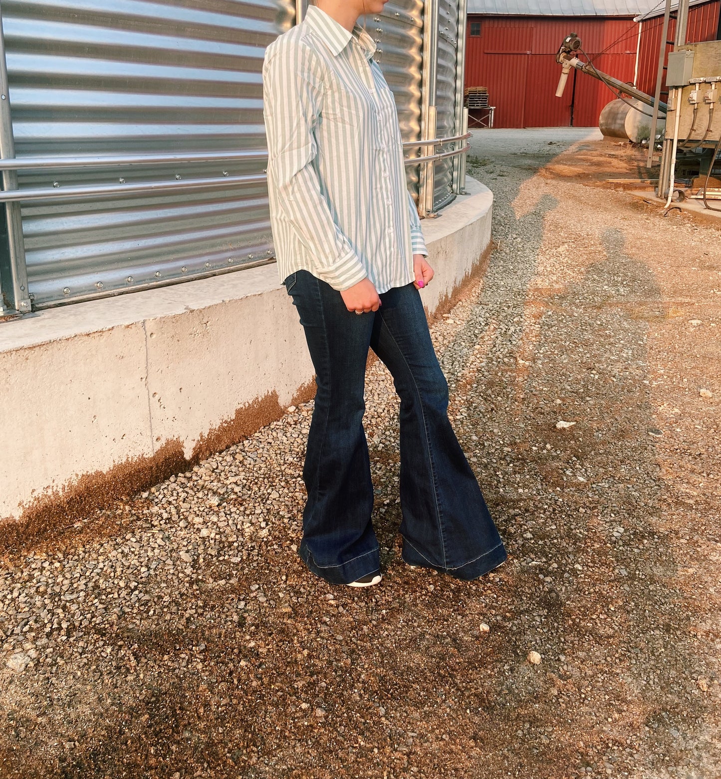 Light Teal Striped Show Shirt